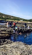 Snorkel en la Isla Isabel Nayarit